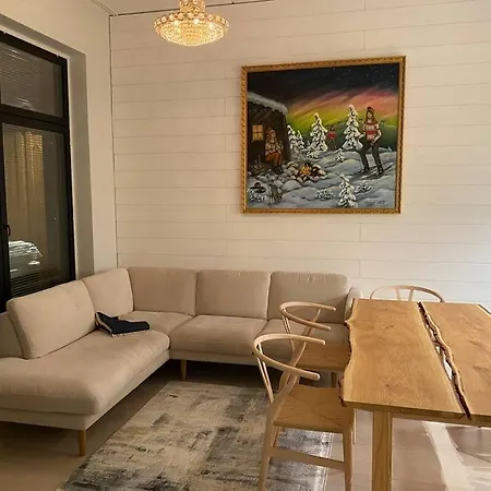 Levi Diamonds Luxury Ski-in&out &private Jacuzzi Lejlighed *